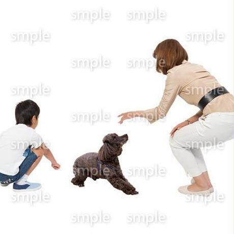 5becaffd5f78662fa5000101