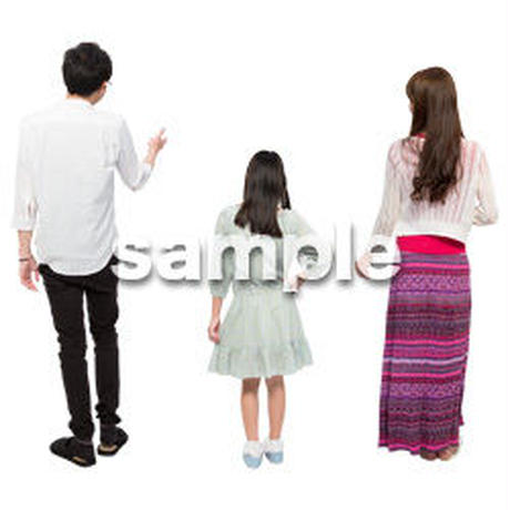 5be4219d5f786633e40000e3