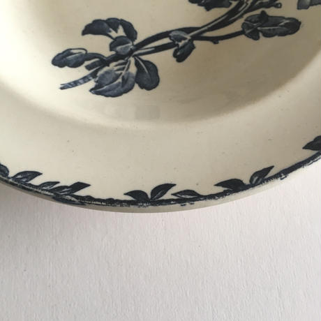 5cf00807adb2a108af807d04