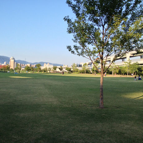 5e0048037f16476aba441313