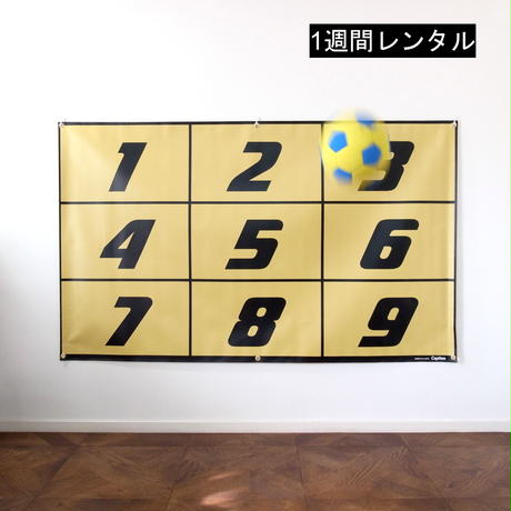 5c490c6168702446a72228cf