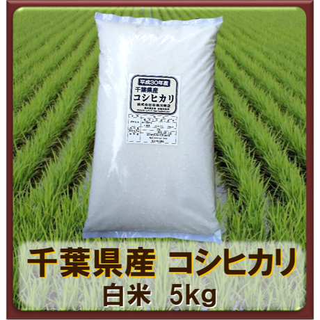 5ba30021ef843f2ff6000012
