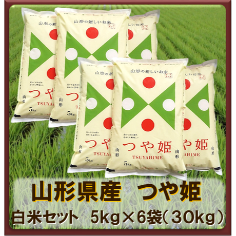 5cd908f80376c636ec0d3ebf