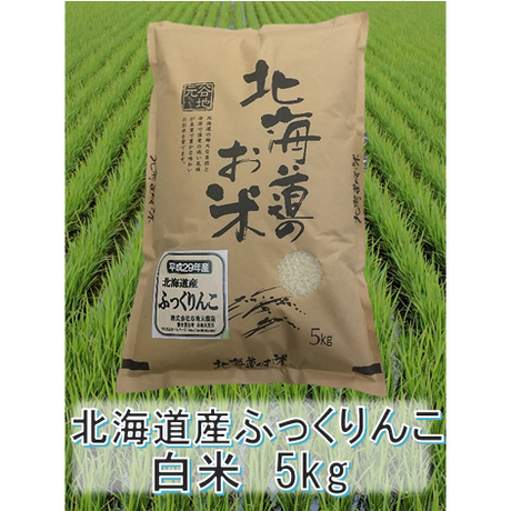 56dfc370be6be395bc00032f
