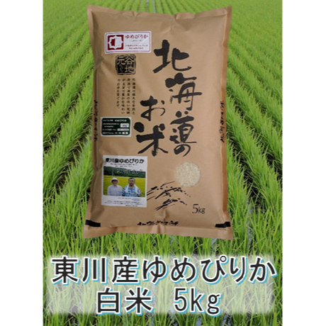 56c6aaf33cd482c7d90054e2