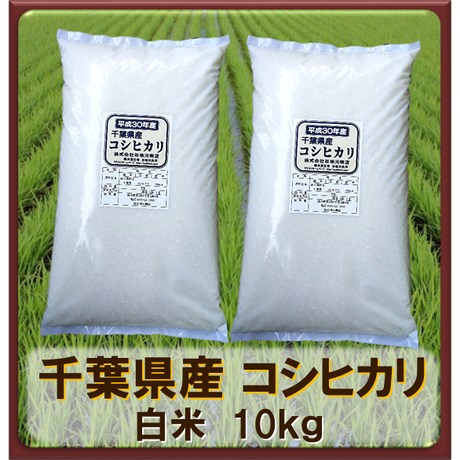 5cd9029c0b921179a6cfcbcd