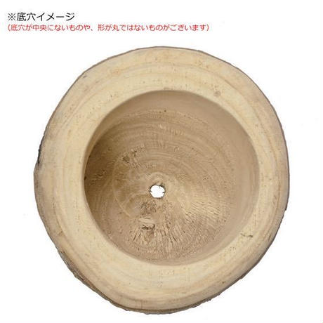 5a1f96b2ed05e60535000451