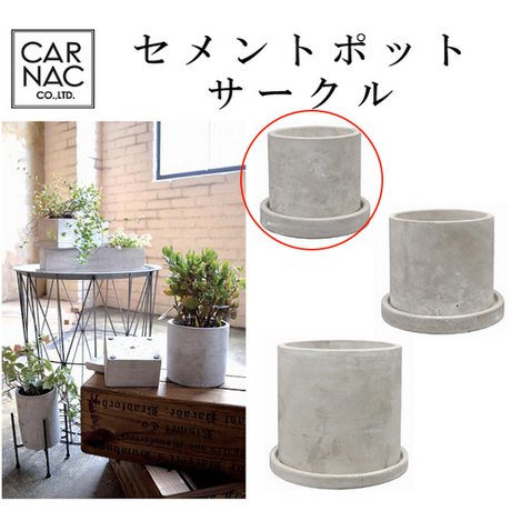 コンクリート鉢 Stores