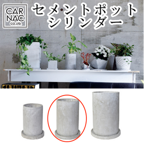 58131a91a458c0129e007574