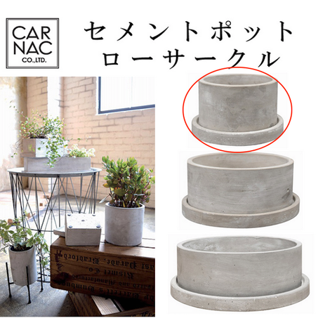 コンクリート鉢 Stores コンクリート鉢 Stores