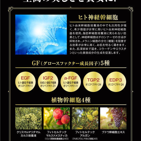 5c5ac278787d845ba404932a