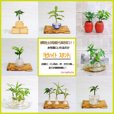 5b18ec795f7866574c0008fb