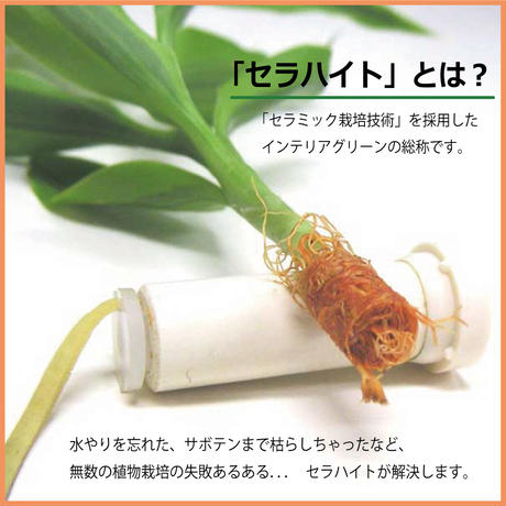 59b74a91ed05e60f490026a4