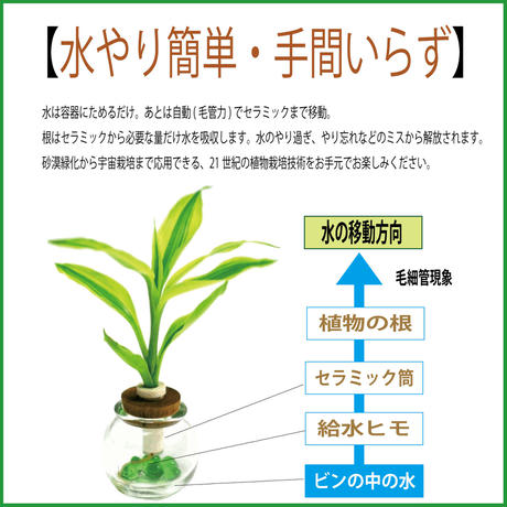 59b74a91ed05e60f490026a4