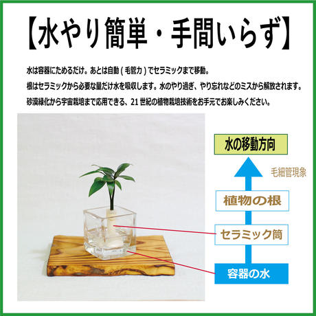 5b18e8b250bbc301d5001111