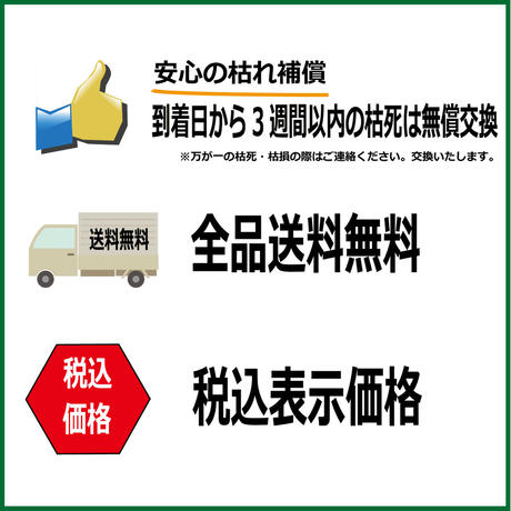 59b8f608f22a5b311e001301