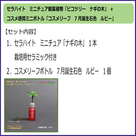 5a17f065ed05e6700c001182