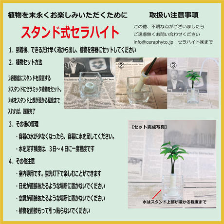 5b18ec795f7866574c0008fb