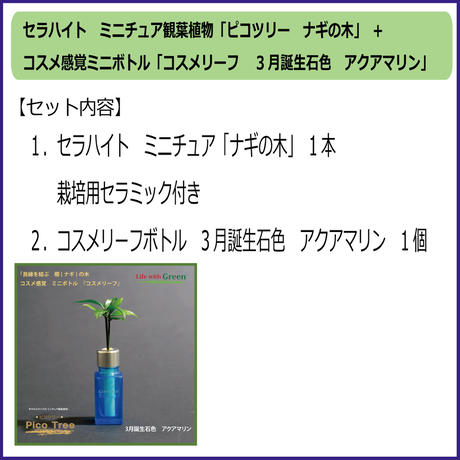 5a17ef27a98437104e000726