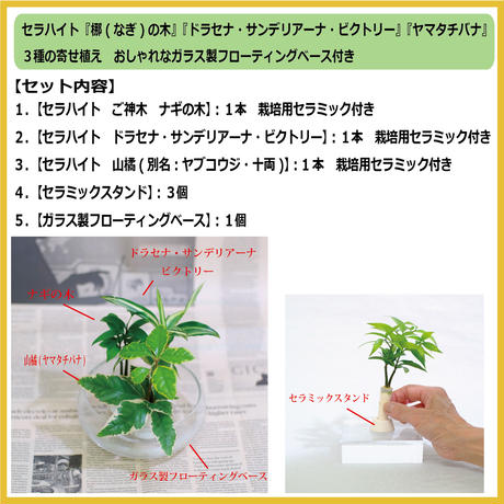 5b18e8b250bbc301d5001111