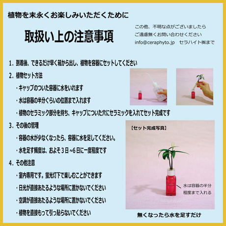 5a17eef2428f2d5db70012fe