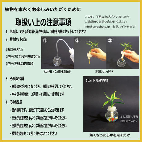 59b74a91ed05e60f490026a4