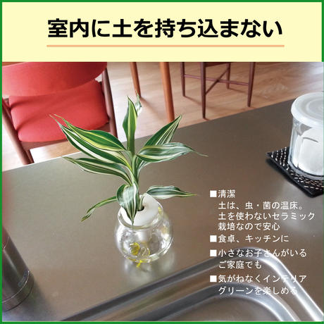 59b8f78bed05e63131000538