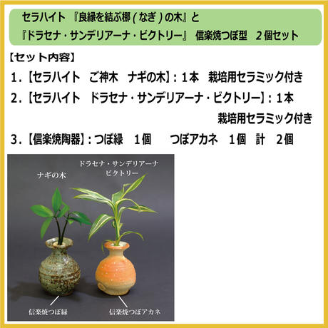 5b18e524ef843f6f980005dd
