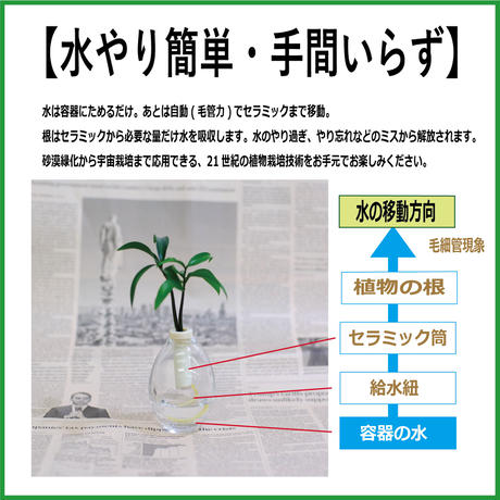 5b18e4c1ef843f6fac0006ad