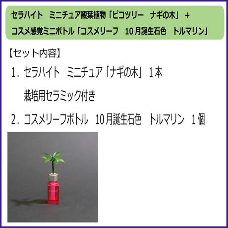 59b8f78bed05e63131000538