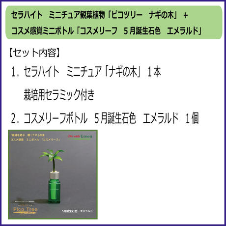 5a17efc68deadf0df400079a