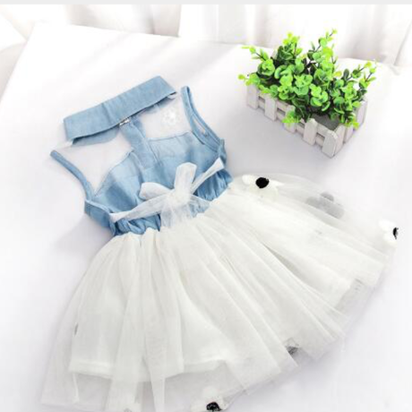 5b8f31faef843f4e2100004d