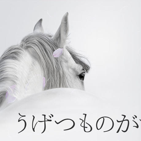 557574fb3cd482e8e70031fe