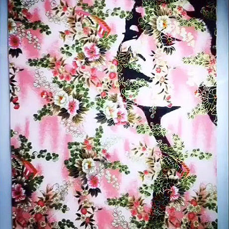 5800d539a458c081db00346f