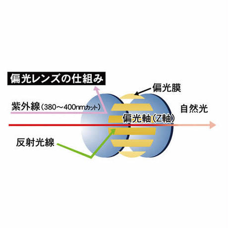 534ce946236a1e293d000077