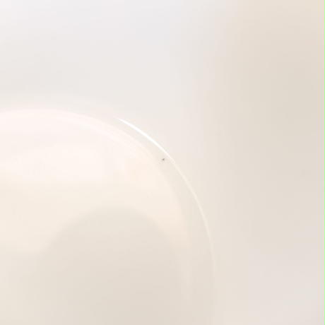 59670890428f2d3205008e63
