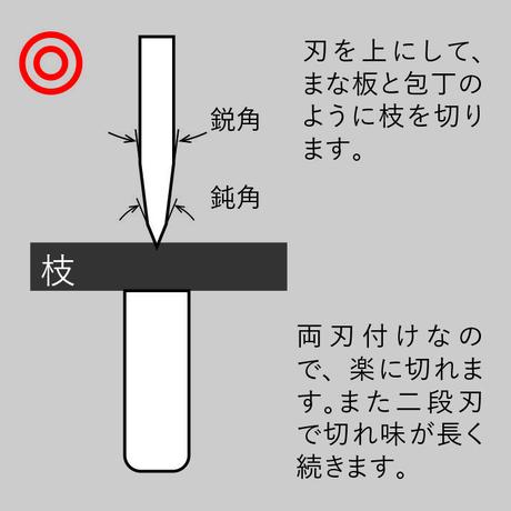 579338a01003153b7d0069ed