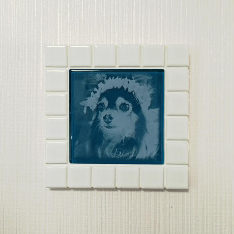 5420dd1def337762c0000139