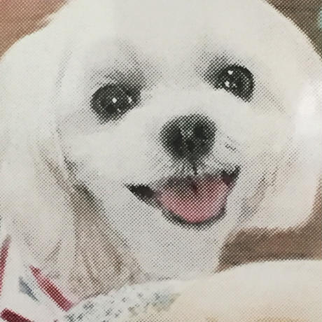 553585ed391bb3b59b002380