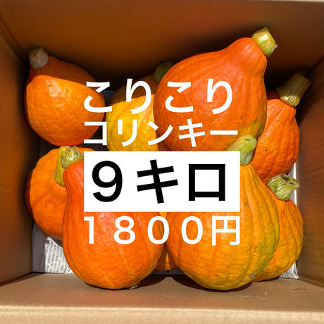 5f165a487df28106a50e2e03