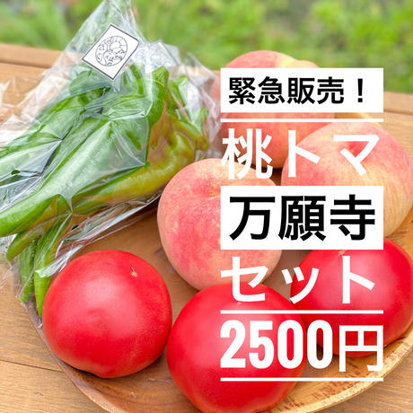 5f2105bc791d025a6c2c1085