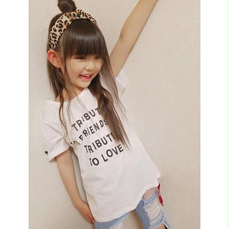 5ce01ffaadb2a15e5037424a