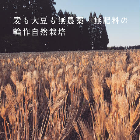 5c04e9252a2862192957b7cb