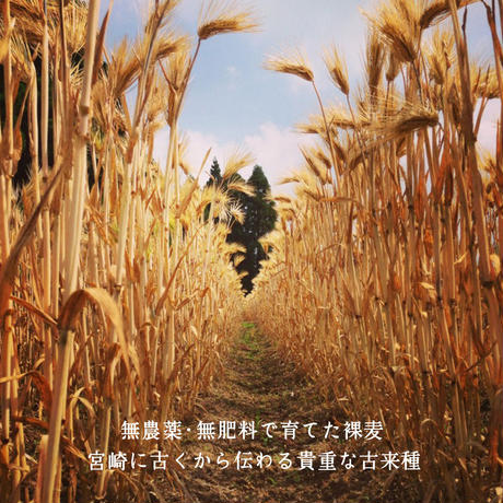 5aea24b75496ff262e000c92