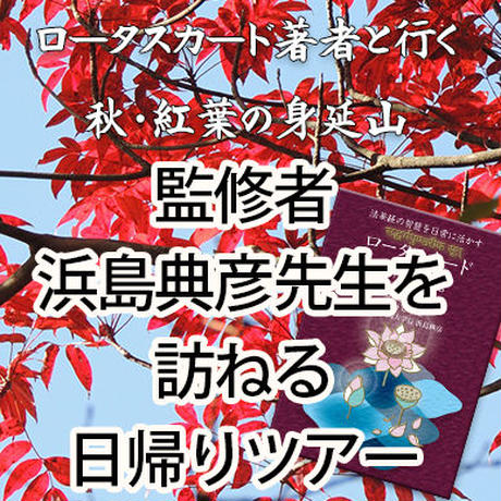 5bb2d12250bbc34758000cd6