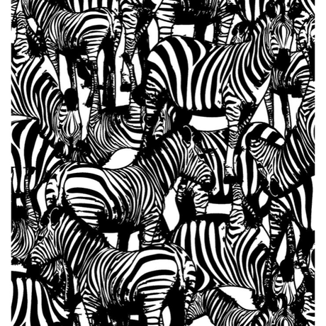 5c468e447cd3613d69993e8a