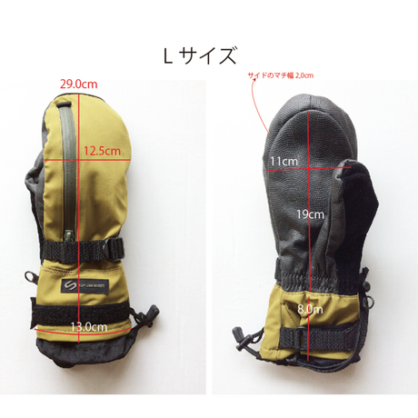 586a077600d331e11a025439