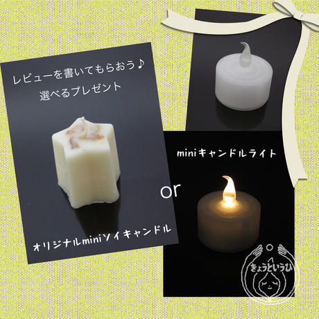 56addff9ef3377e3c500cd06