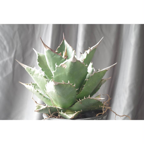 5cd8168ec843ce319a4abf96