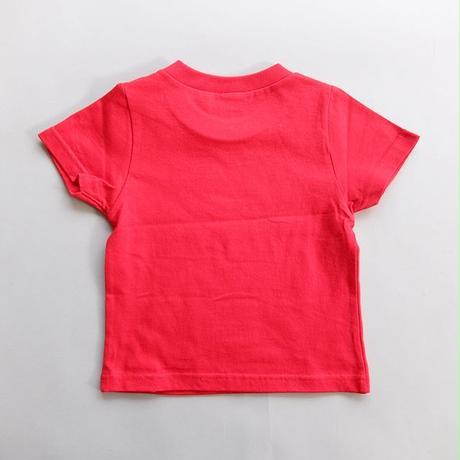 5a12829d3210d54c69001812